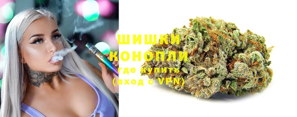 spice Богородск