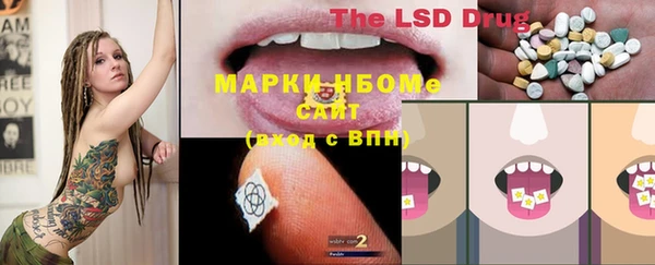 тгк Богданович