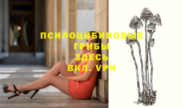 Альфа ПВП Корсаков