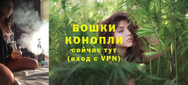 тгк Богданович