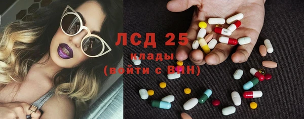 spice Богородск