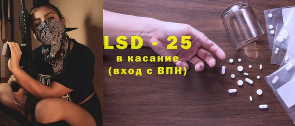 ПСИЛОЦИБИНОВЫЕ ГРИБЫ Каменка