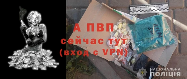 PSILOCYBIN Богородицк