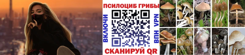 Галлюциногенные грибы мухоморы  как найти наркотики  Краснозаводск 